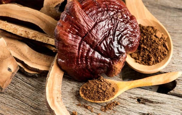 Lưu Ý Khi Sử Dụng Nấm Linh Chi