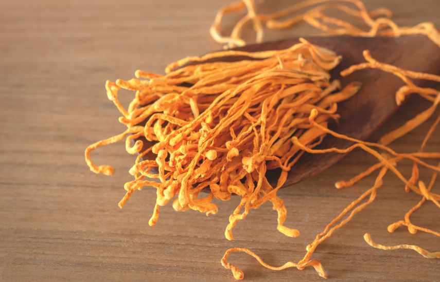 Lợi ích bất ngờ của Đông trùng hạ thảo đối với cơ thể