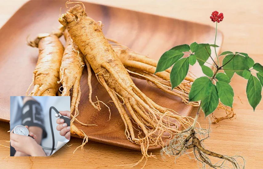 Người bị huyết áp cao có nên dùng nhân sâm không?