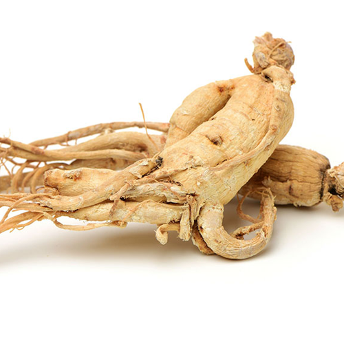 Nước Hồng Sâm Phúc Bồn Tử Hộp 20 Gói