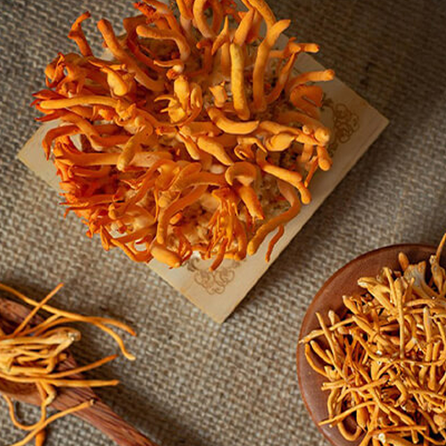 Tinh Chất Đông Trùng Hạ Thảo Cheonsim Hwangje Liquid Hổ