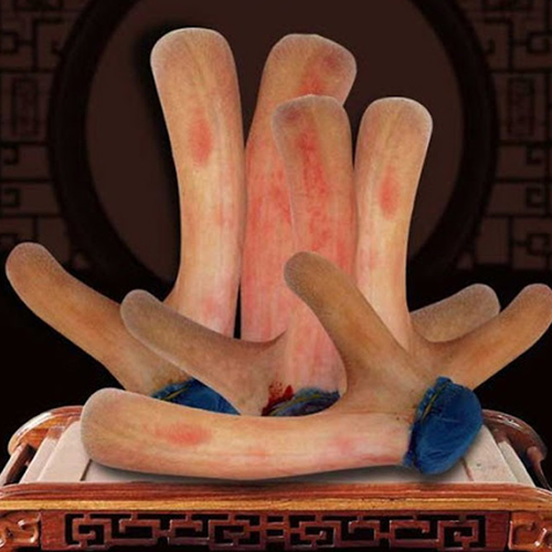 Cao Hồng Sâm Linh Chi Nhung Hươu Goryo Hộp 2 Lọ