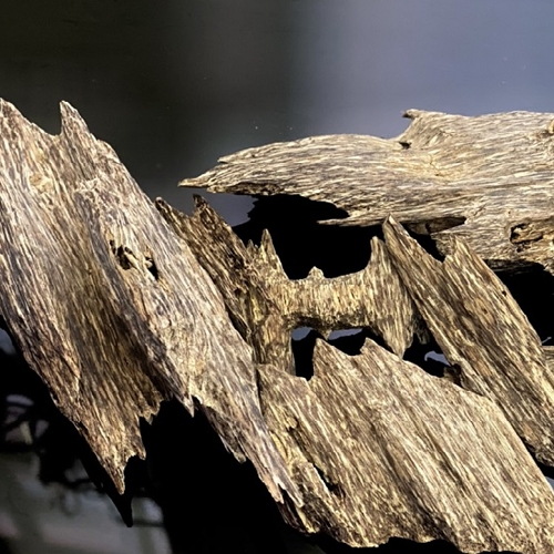 Hoạt Huyết Trầm Hương Jangsoo Hwan 60 Viên