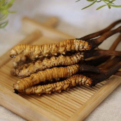 Cao Hồng Sâm Đông Trùng Hạ Thảo Hộp 2 Lọ