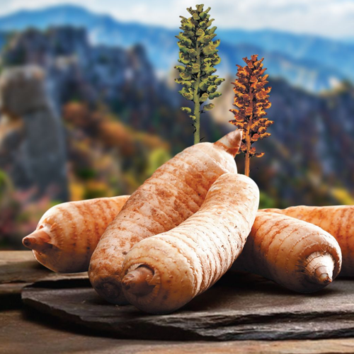 Hoạt Huyết Thiên Tâm Cheonsim Dan Hộp 60 Viên