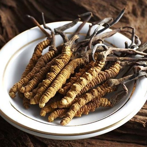 Cao Hồng Sâm Đông Trùng Hạ Thảo Hộp 4 Lọ