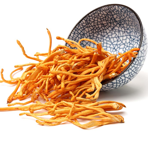 Đông Trùng Hạ Thảo Hộp Gỗ 60 Viên Hàn Quốc