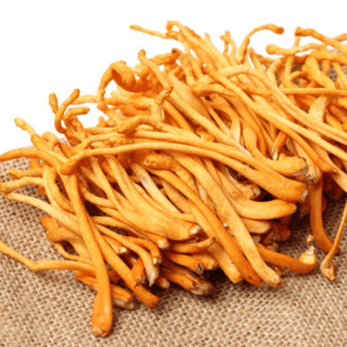 Cao Hồng Sâm Đông Trùng Hạ Thảo Hộp 1 Lọ 