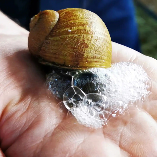 Kem Dưỡng Da Tay MEDIBEAU