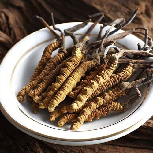 Nước Mát Gan Đông Trùng KGF Hộp 30 Gói