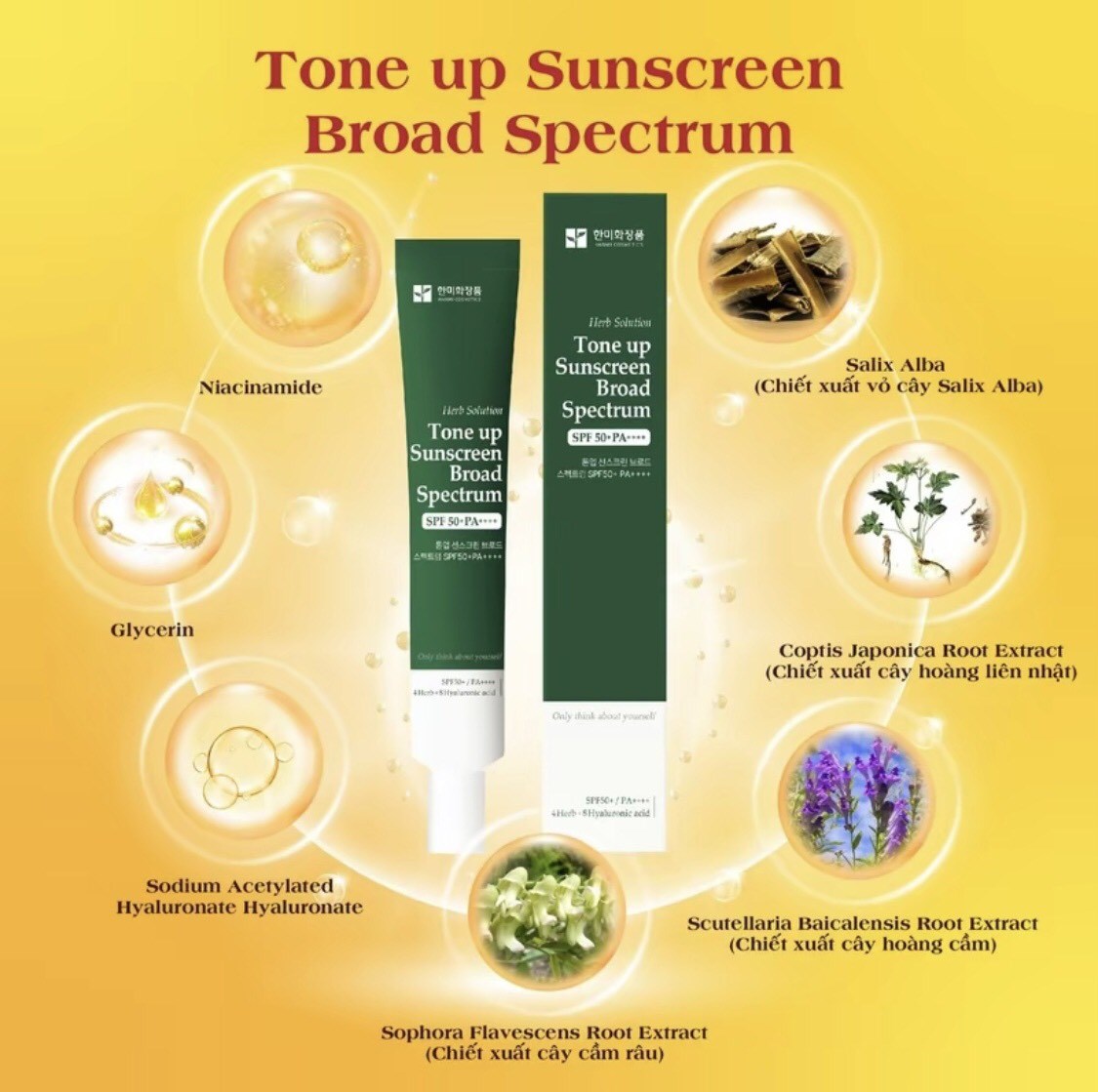 Tone up - Kem chống nắng phổ rộng - Suncream Broad Spectrum Hanmi Cosmetic SPF 50+ PA++++