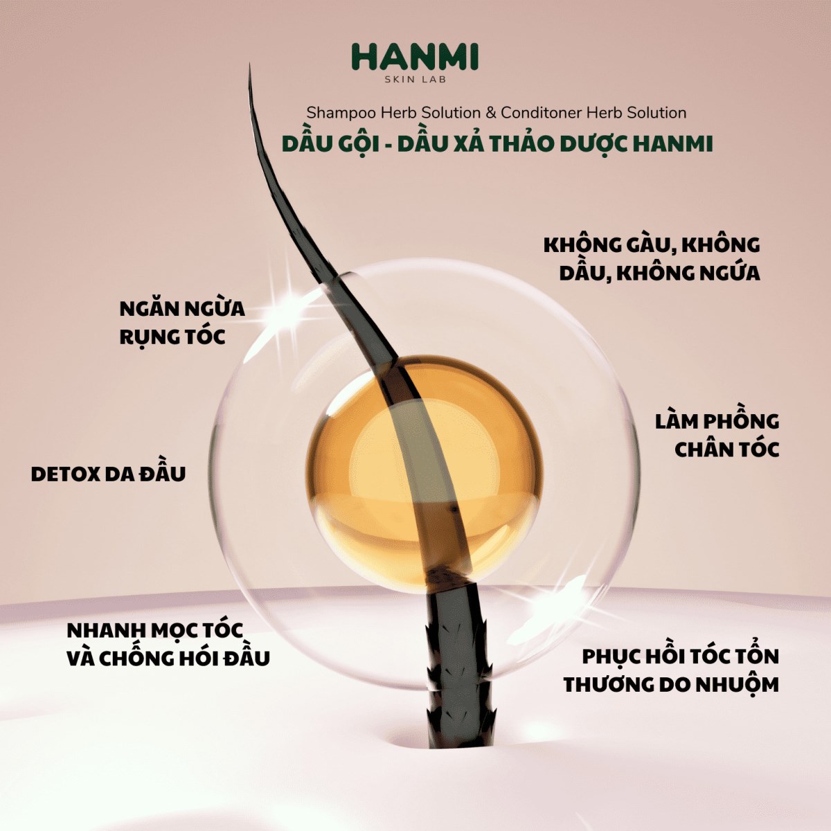 Dầu gội Thảo dược Hanmi 8 TRONG 1 Detox tóc