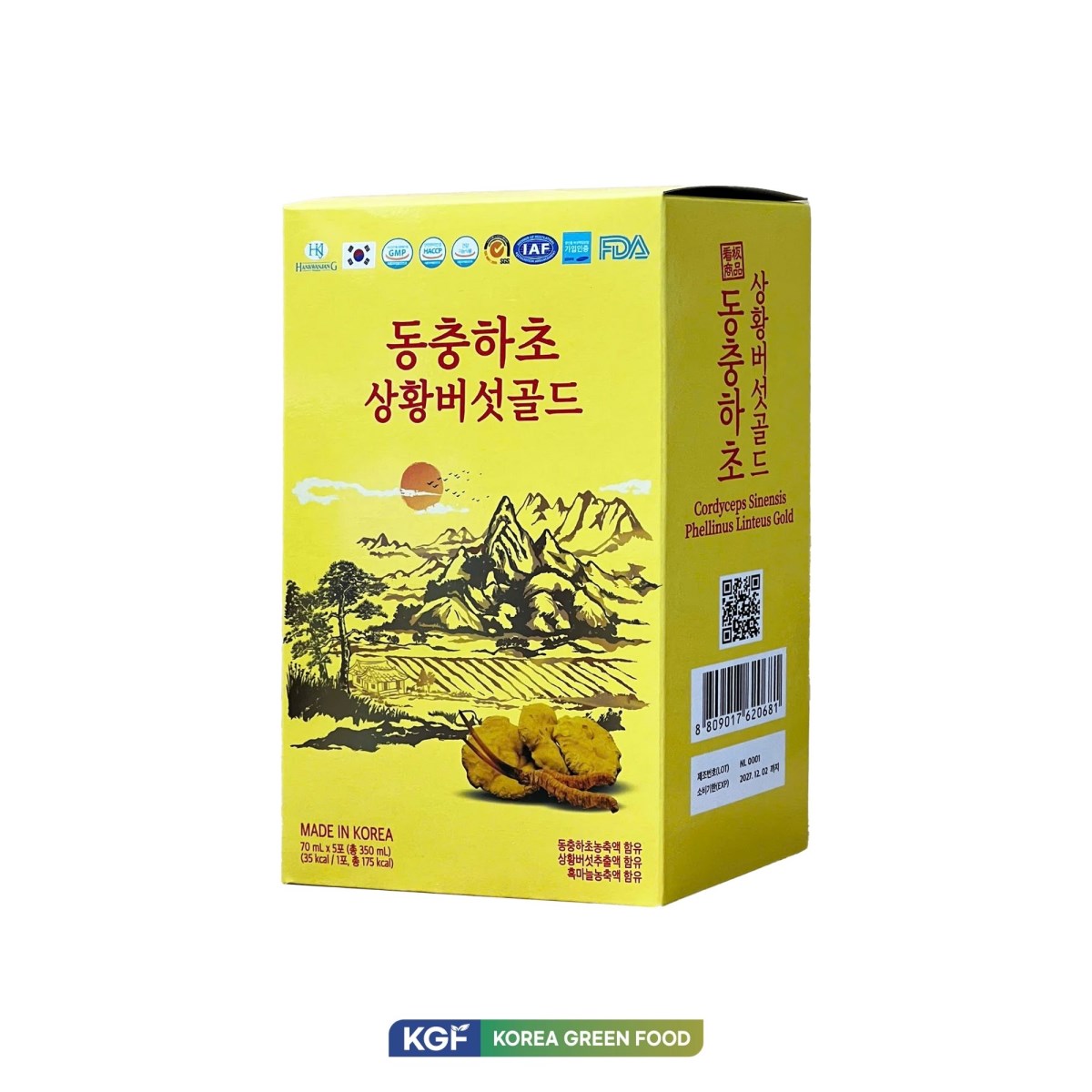 NƯỚC ĐÔNG TRÙNG NẤM THƯỢNG HOÀNG (CORDYCEPS SINENSIS PHELLINUS LINTEUS GOLD)