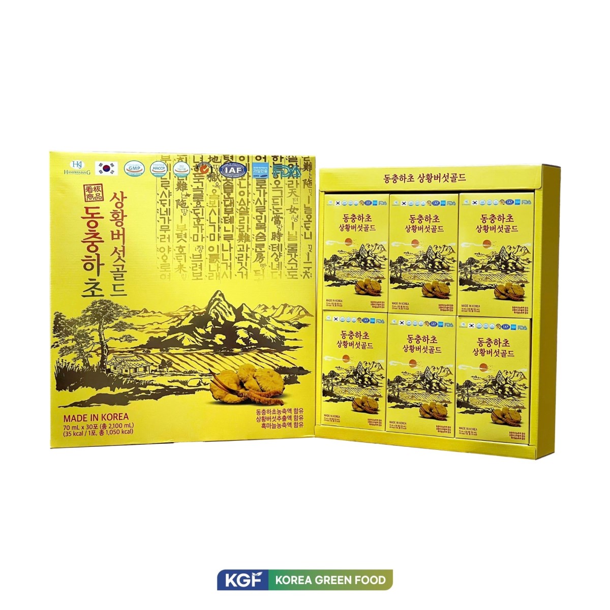 NƯỚC ĐÔNG TRÙNG NẤM THƯỢNG HOÀNG (CORDYCEPS SINENSIS PHELLINUS LINTEUS GOLD)