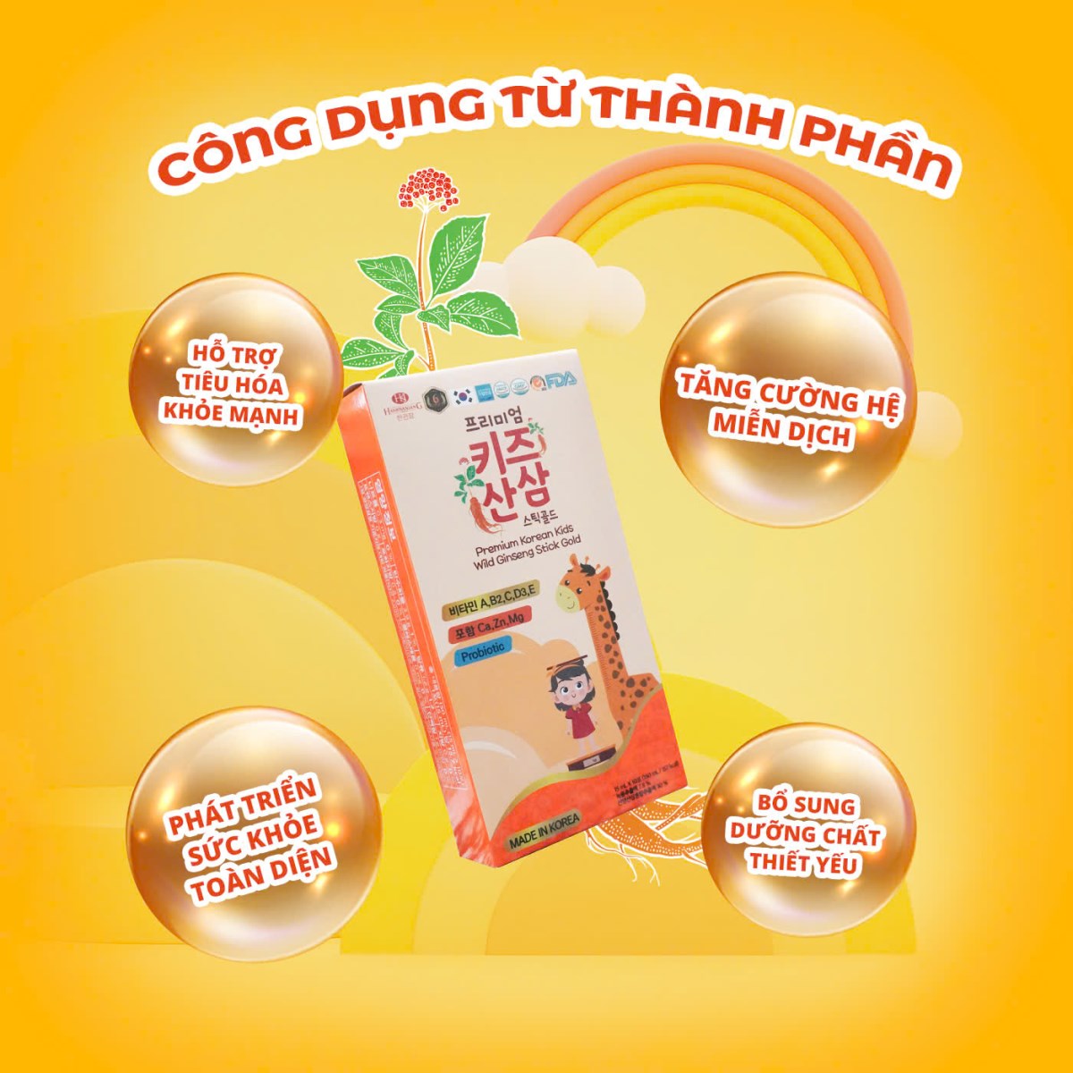 Thực phẩm bổ sung Premium Korean Kids Wild Ginseng Stick Gold